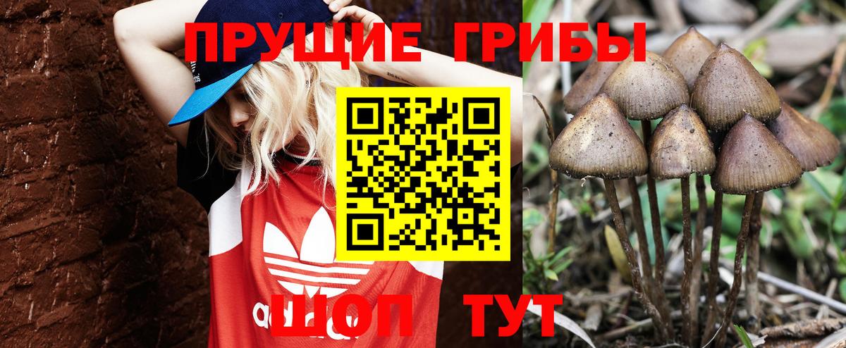 Дюртюли  Галлюциногенные грибы MAGIC MUSHROOMS  Вход с VPN  Галлюциногенные грибы мухоморы 